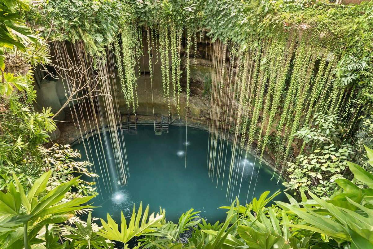 Rainforest cenote found in Yucatan peninsula.